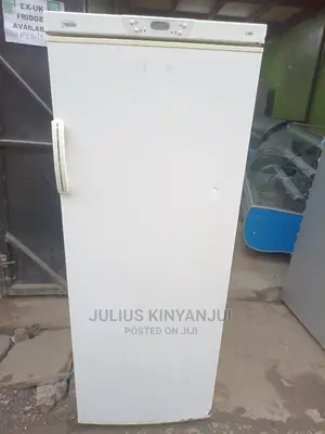 Upright Freezer 350l