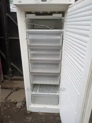 Upright Freezer 350l