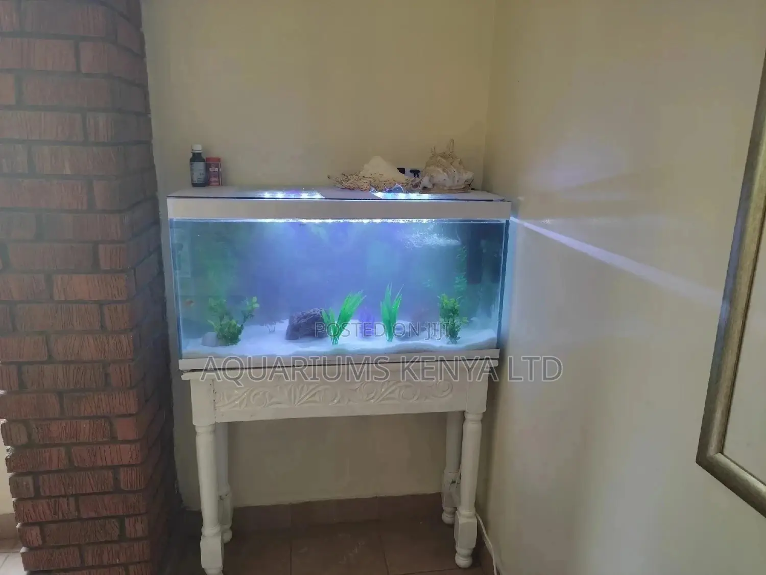 Custom Made Aquariums to Your Prefered Measurements N Design