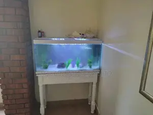 Custom Made Aquariums to Your Prefered Measurements N Design