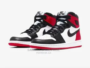 Air Jordan Dior