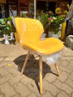 Dining Chairs.