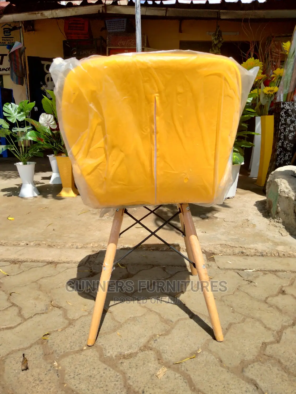 Dining Chairs.