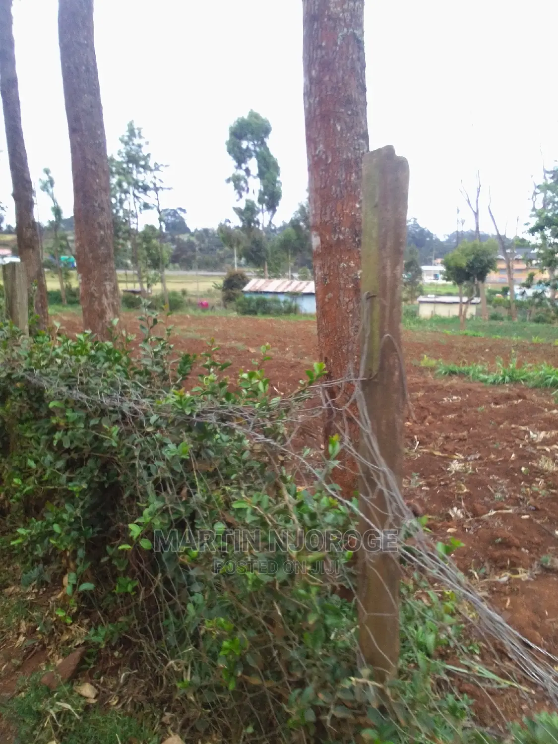 1⁄4 Acre Plot Murengeti