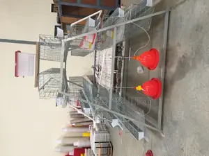 Cages 128 Birds