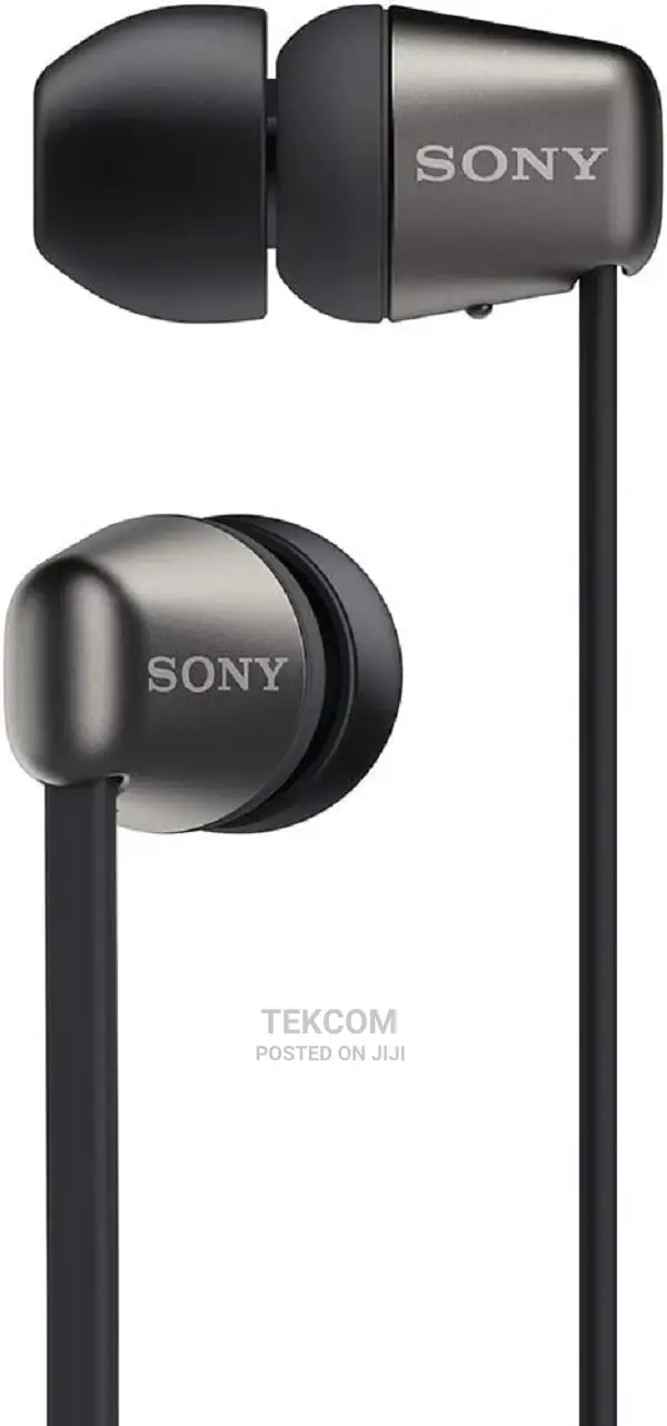 Sony Wireless In-ear Headphones – WI-C310