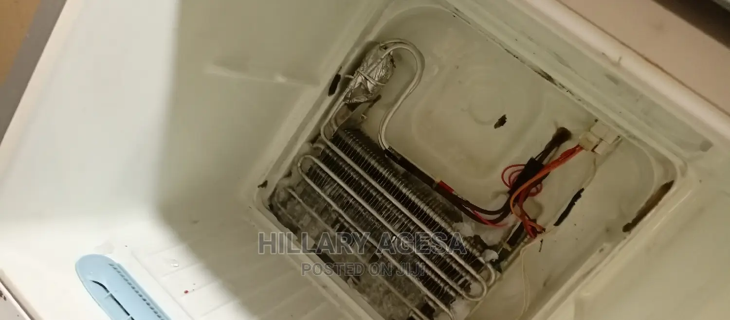 Fridge Repair Services