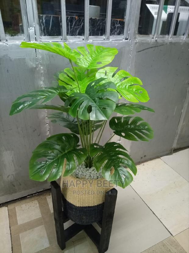 Artificial Plants With Kyondo and Plant Stand - thumbnail 2