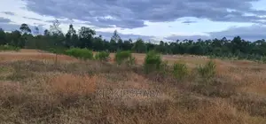 Full 1⁄2 Acre Plot for Sale in Kiplombe Eldoret
