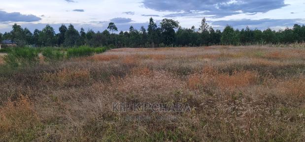 Full 1⁄2 Acre Plot for Sale in Kiplombe Eldoret - thumbnail 7