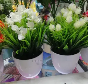 Bonsai Potted Flowers