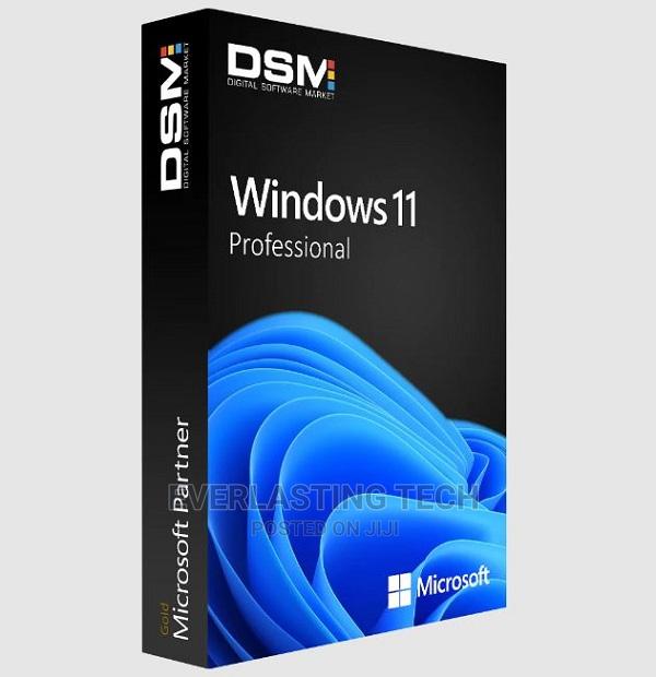 Microsoft Windows 11 Pro 64bit - main view