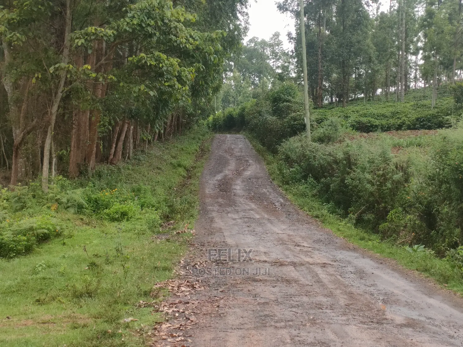 1 Acre Othaya/Gitundu