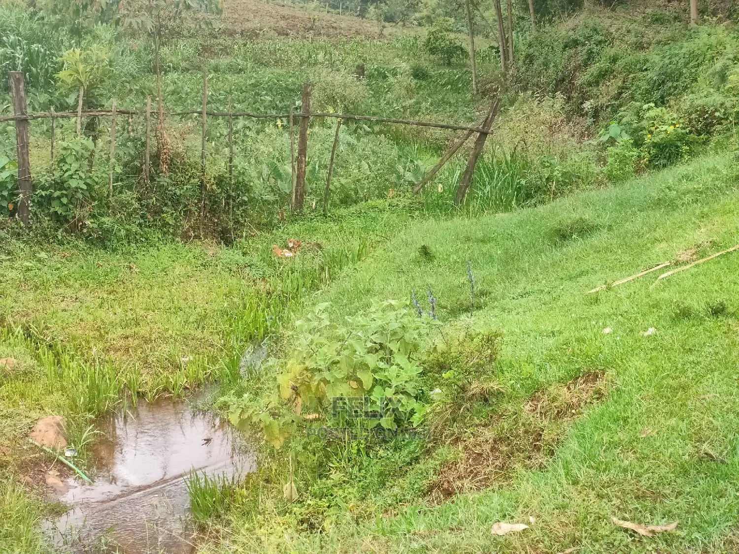 1 Acre Othaya/Gitundu