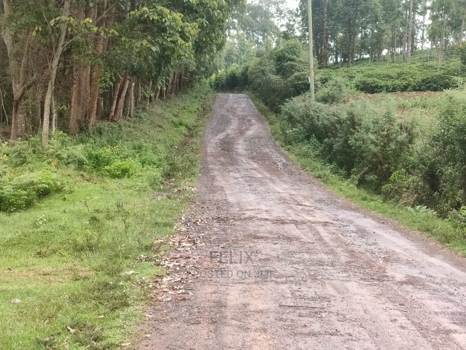 1 Acre Othaya/Gitundu