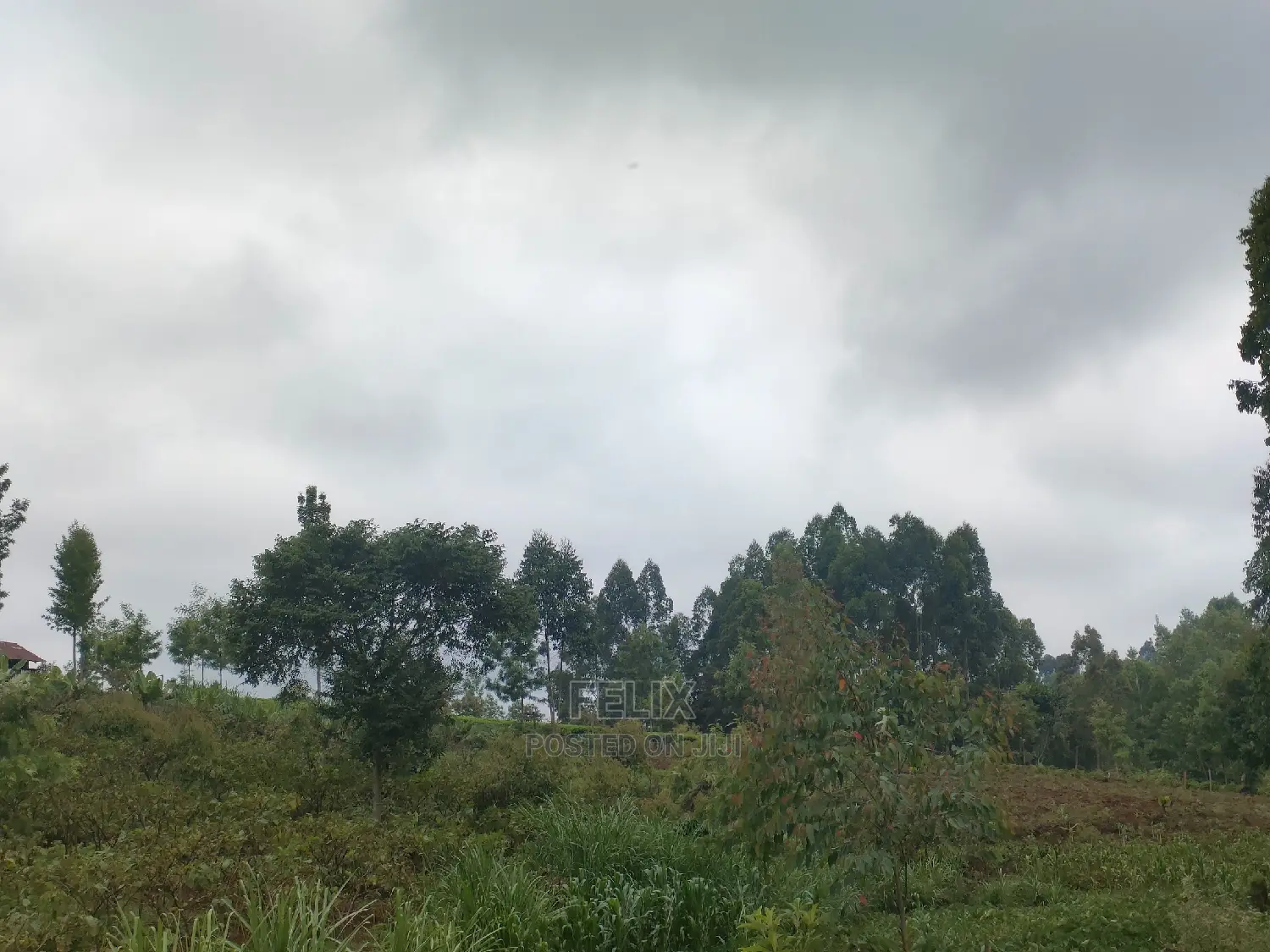 1 Acre Othaya/Gitundu