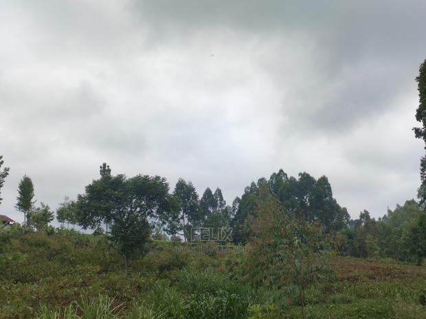 1 Acre Othaya/Gitundu - thumbnail 5