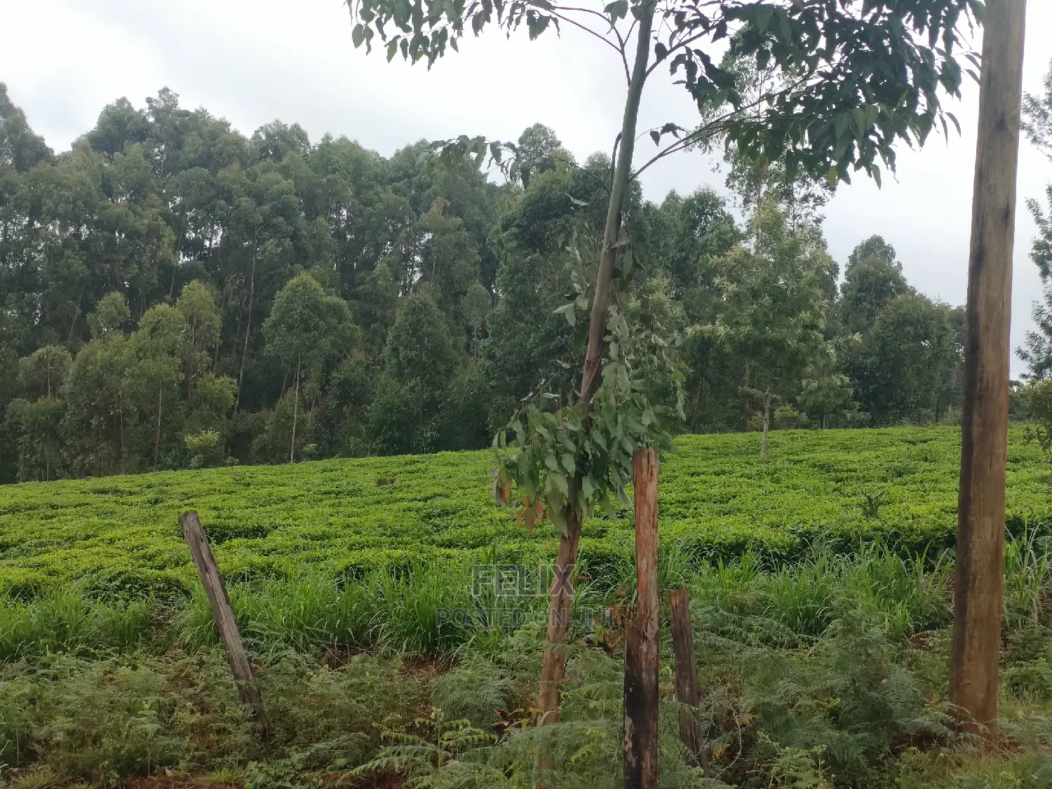 1 Acre Othaya/Gitundu