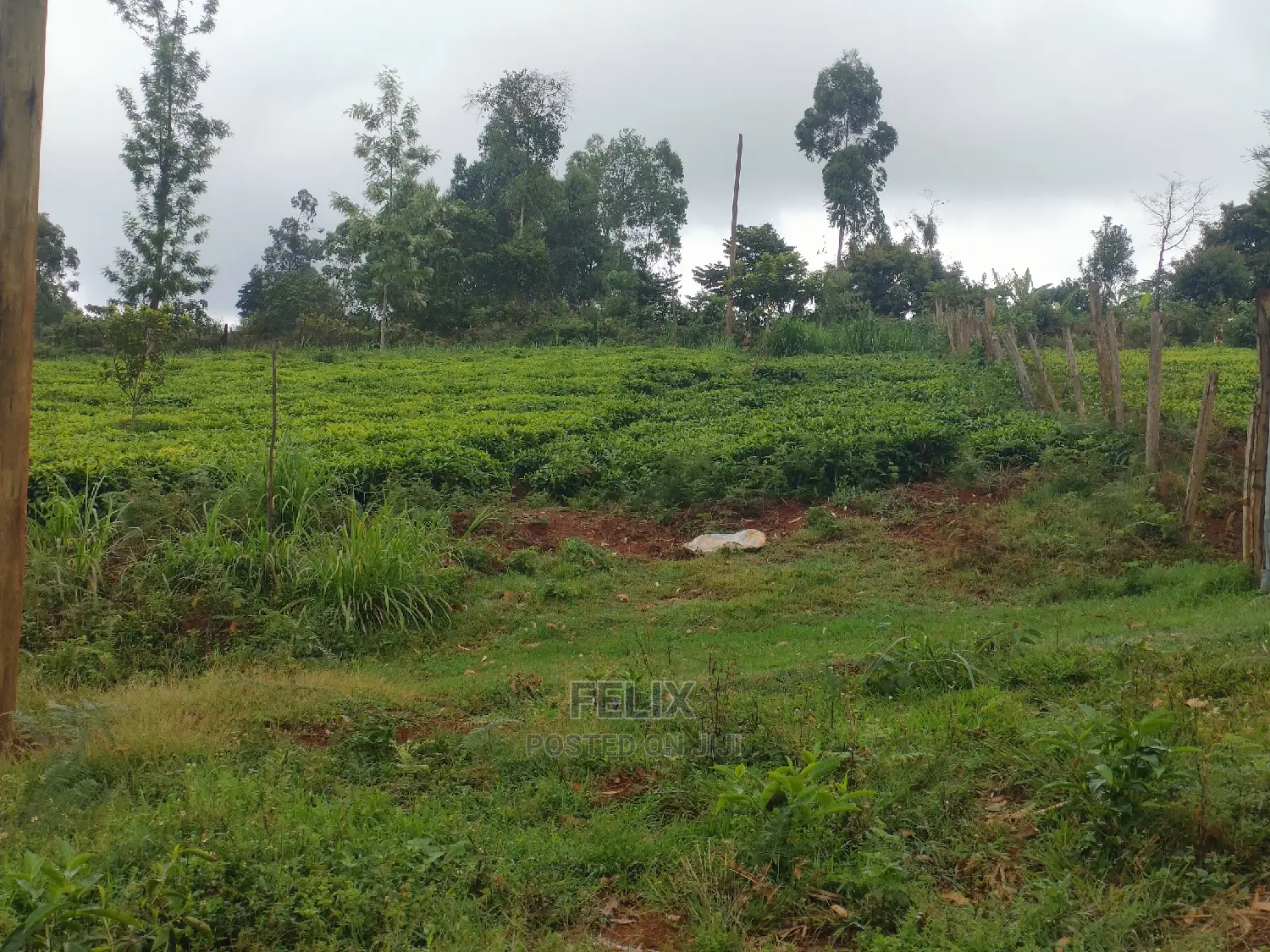 1 Acre Othaya/Gitundu