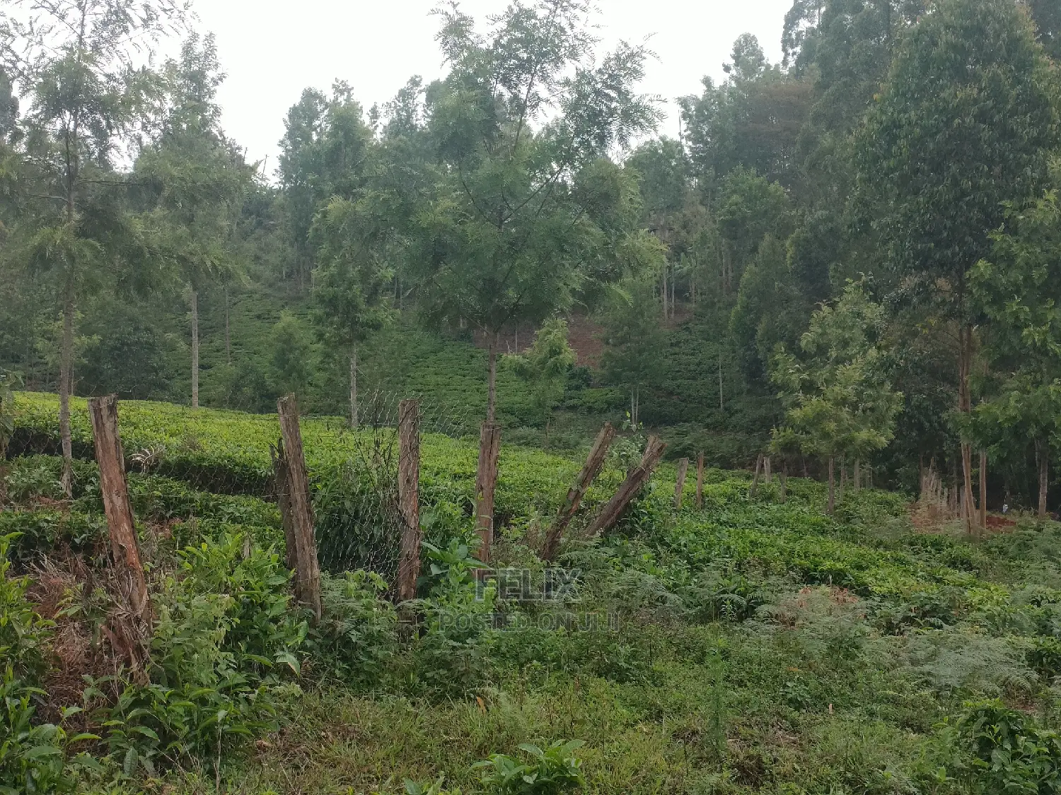1 Acre Othaya/Gitundu