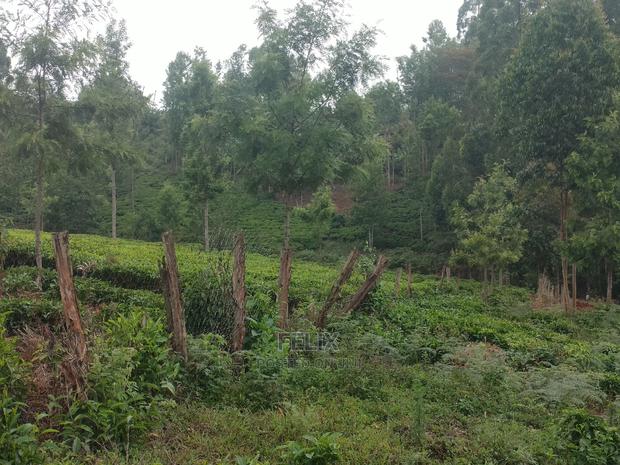 1 Acre Othaya/Gitundu - thumbnail 8