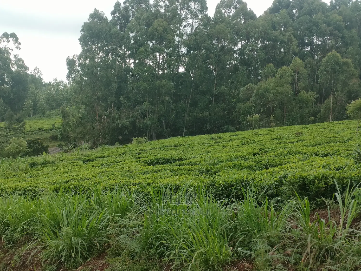 1 Acre Othaya/Gitundu