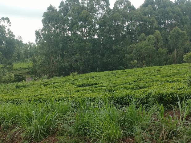 1 Acre Othaya/Gitundu - thumbnail 10