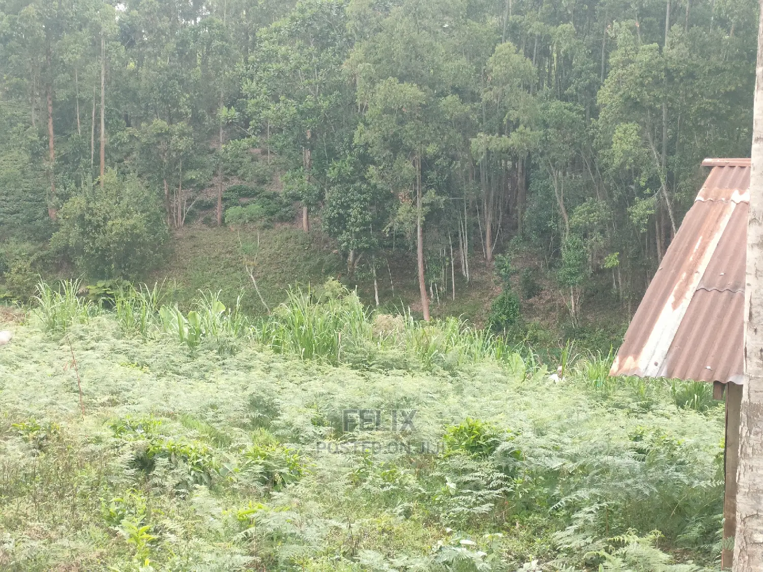 1 Acre Othaya/Gitundu