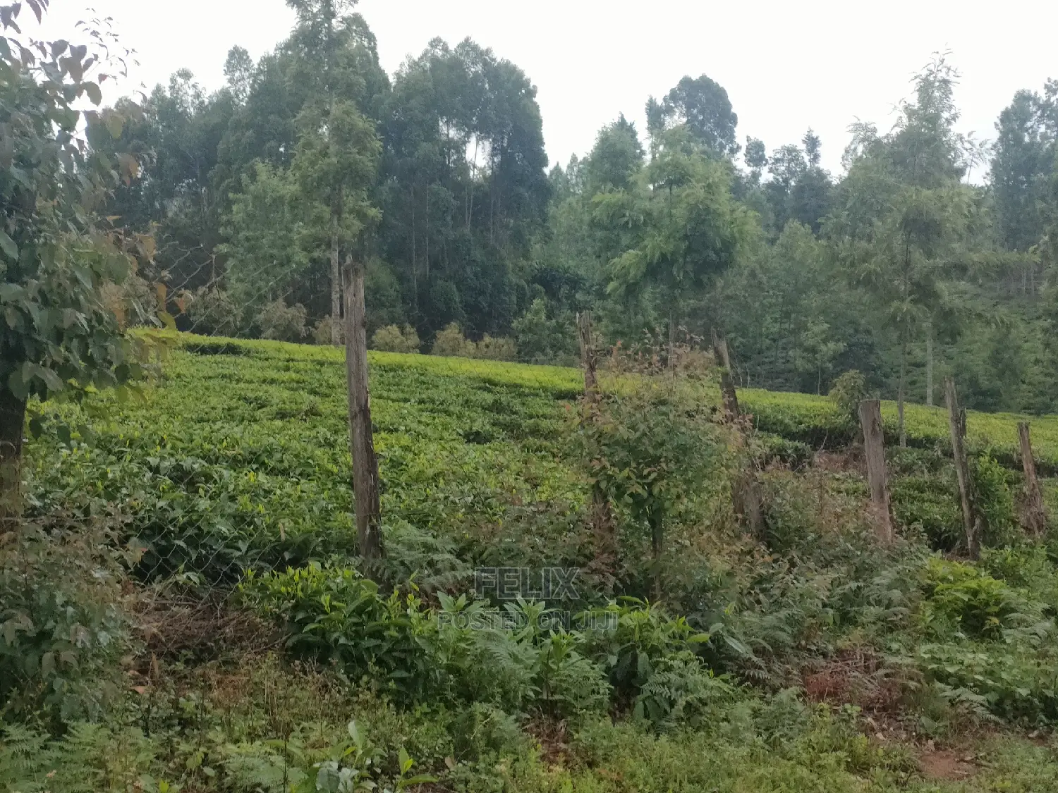1 Acre Othaya/Gitundu