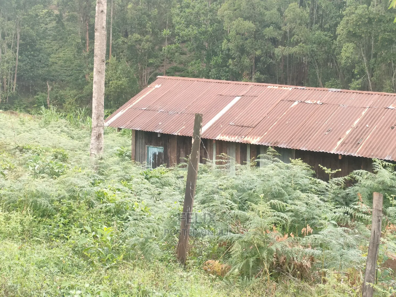 1 Acre Othaya/Gitundu