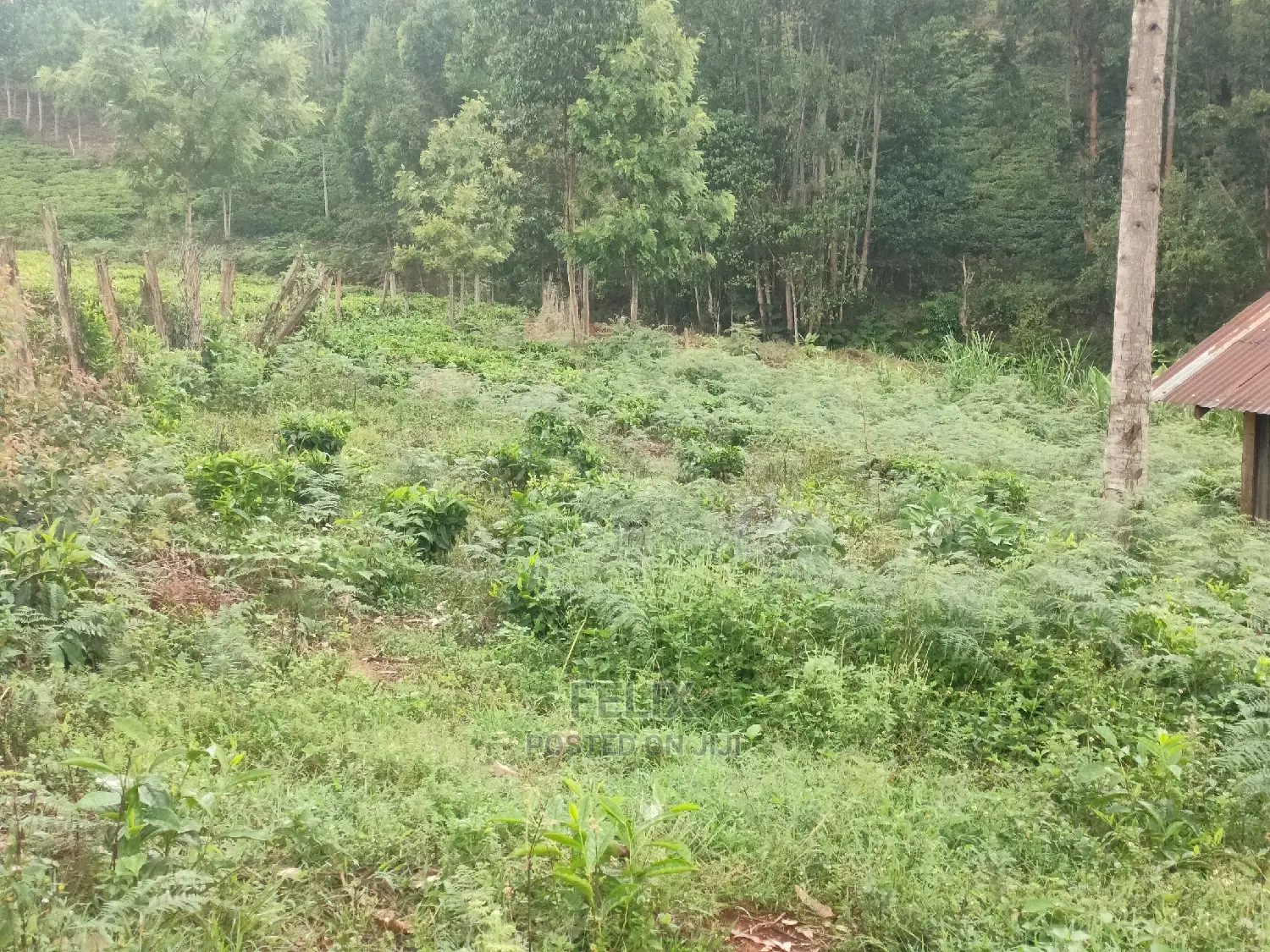 1 Acre Othaya/Gitundu