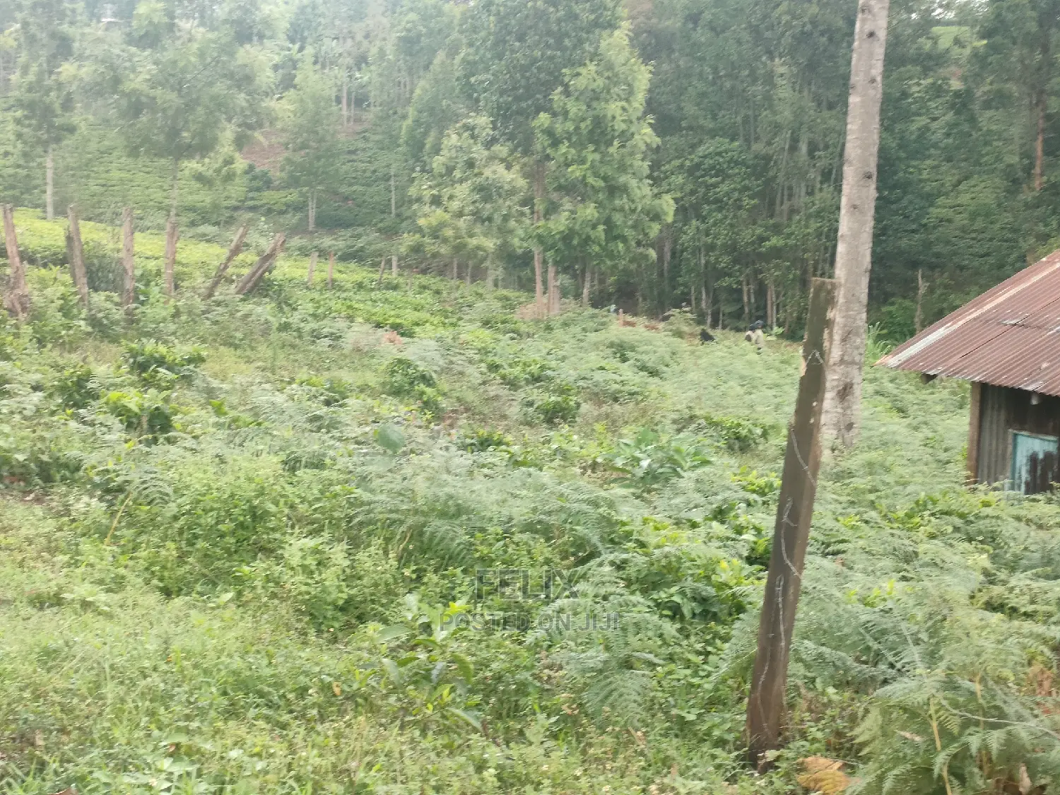 1 Acre Othaya/Gitundu