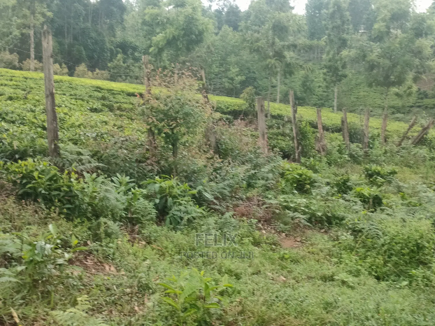 1 Acre Othaya/Gitundu