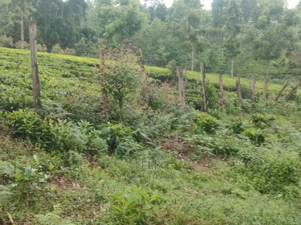 1 Acre Othaya/Gitundu - thumbnail 18