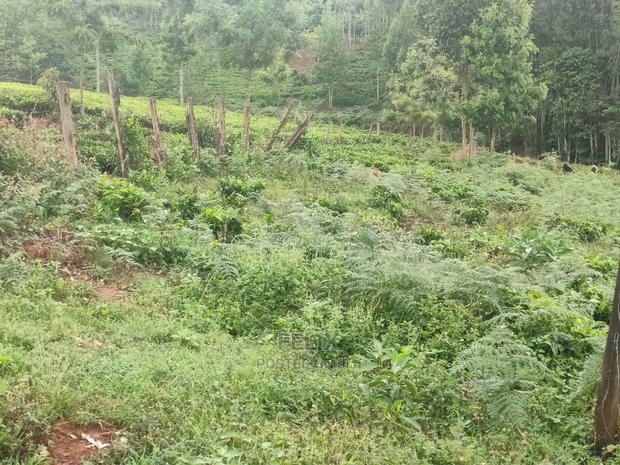 1 Acre Othaya/Gitundu - thumbnail 19