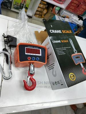500kgs Crane Sclae - main view