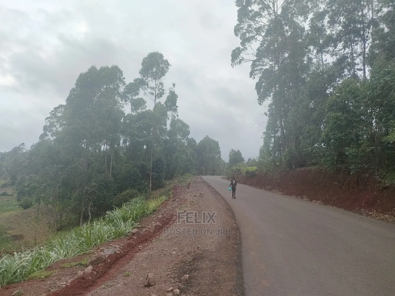 3 Acres Othaya/Kianganda