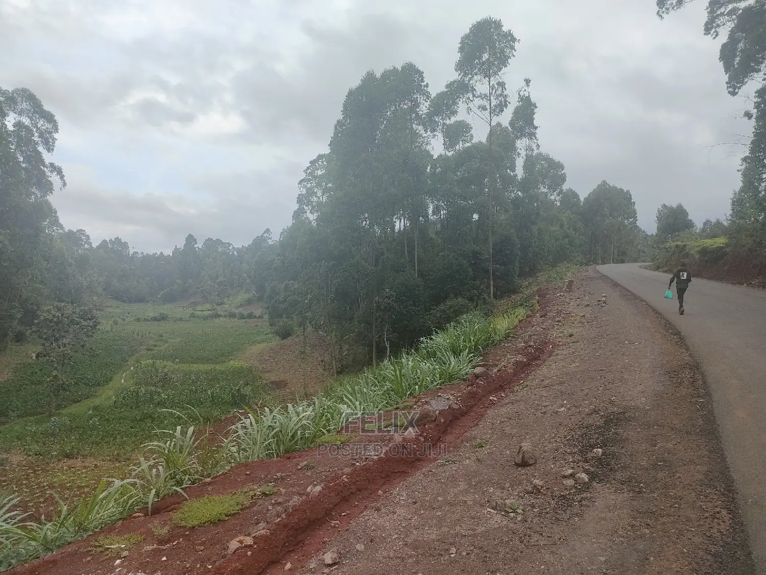 3 Acres Othaya/Kianganda