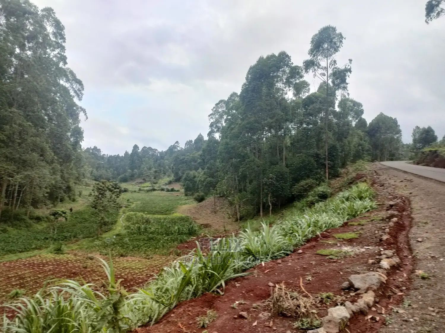 3 Acres Othaya/Kianganda