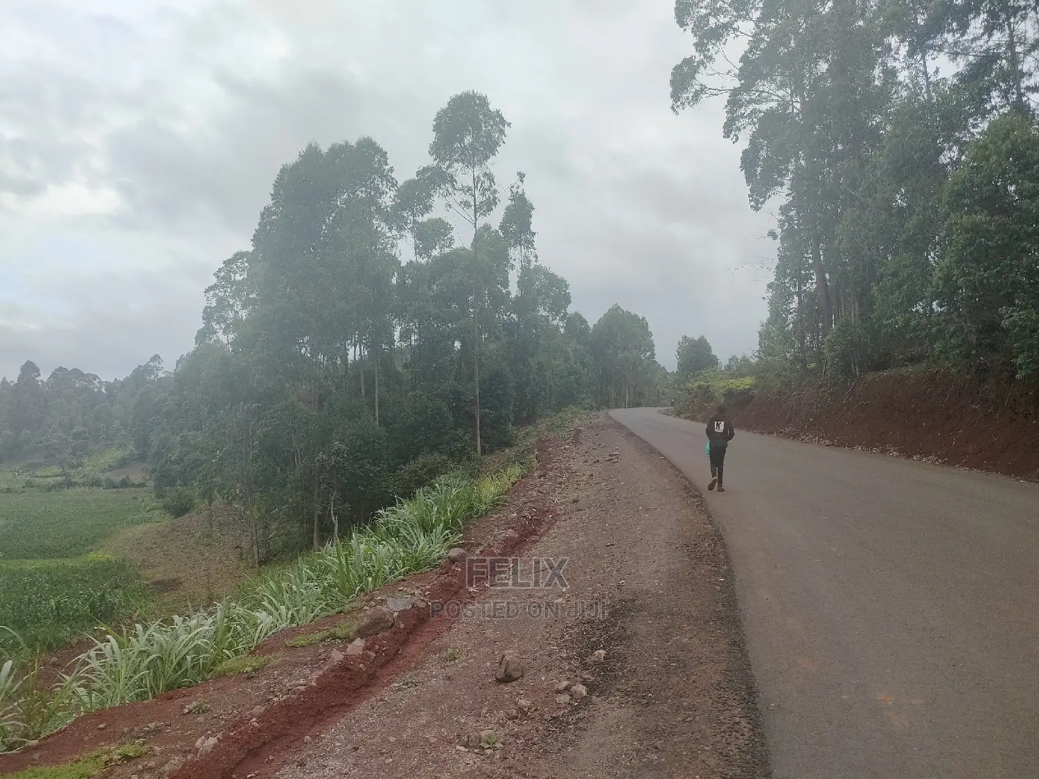 3 Acres Othaya/Kianganda