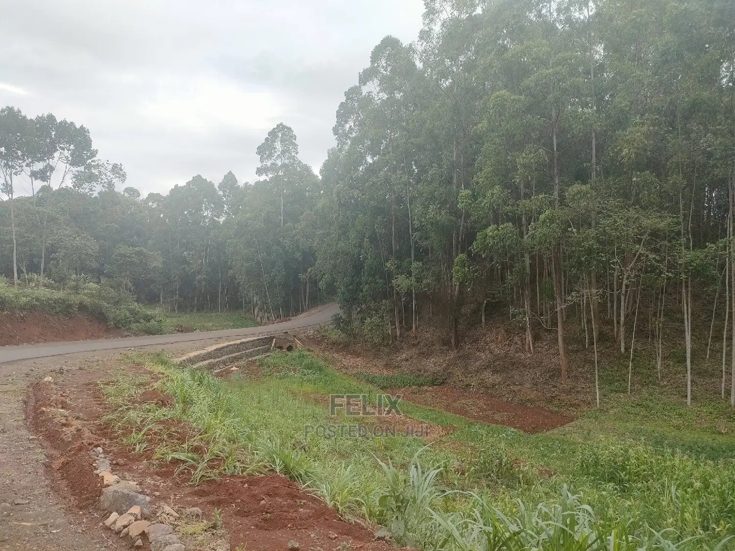 3 Acres Othaya/Kianganda