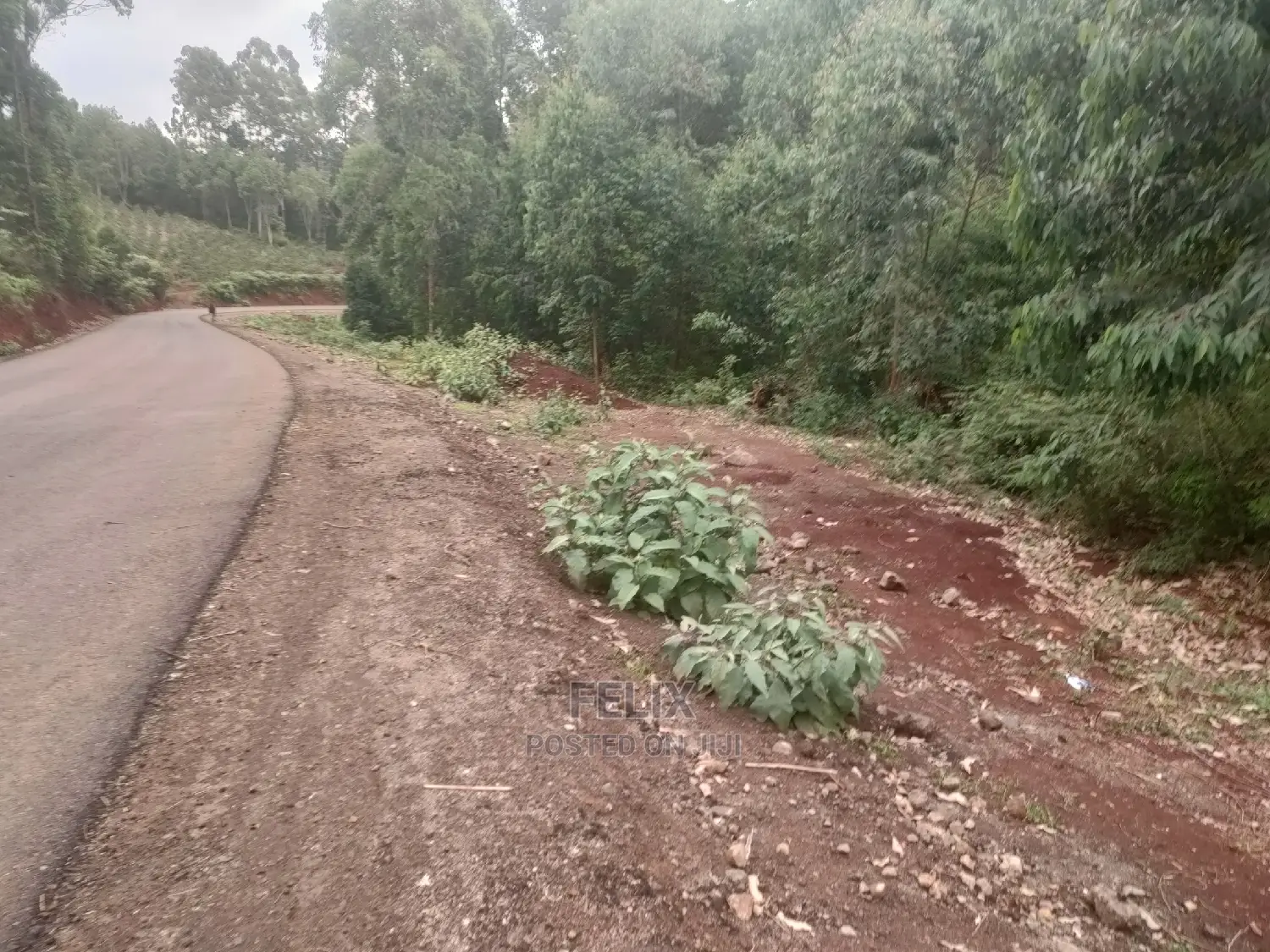 3 Acres Othaya/Kianganda