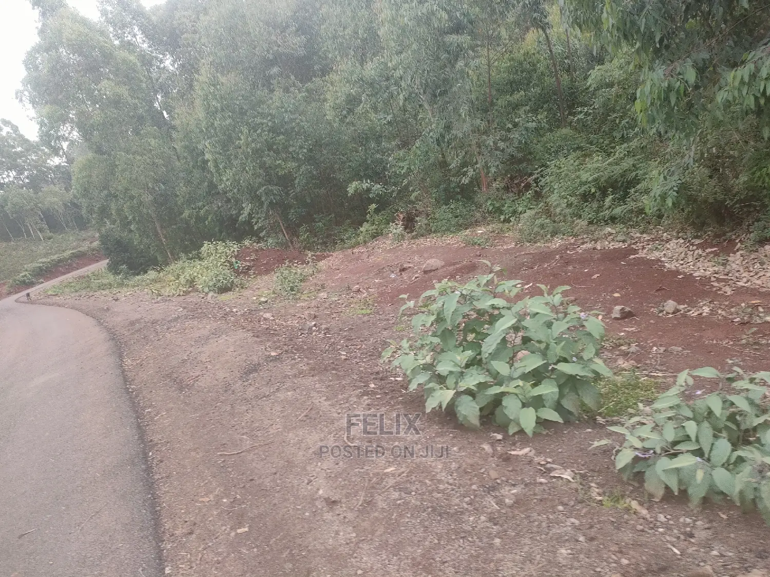 3 Acres Othaya/Kianganda
