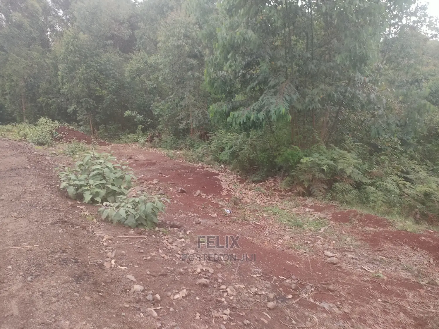 3 Acres Othaya/Kianganda