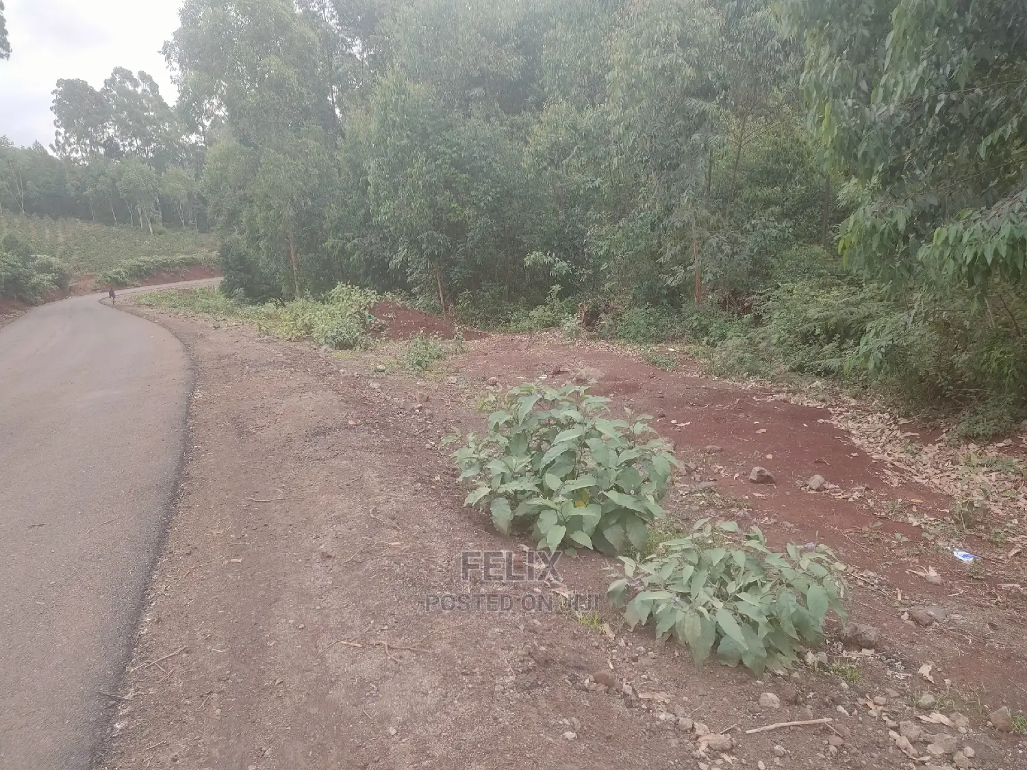 3 Acres Othaya/Kianganda