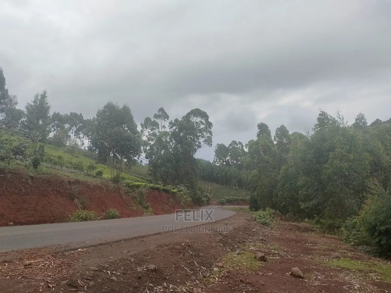 3 Acres Othaya/Kianganda