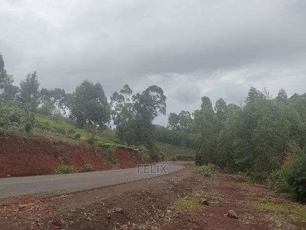 3 Acres Othaya/Kianganda - thumbnail 16