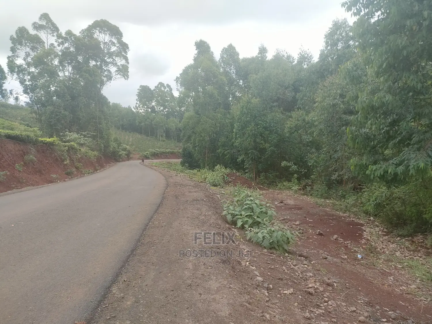 3 Acres Othaya/Kianganda