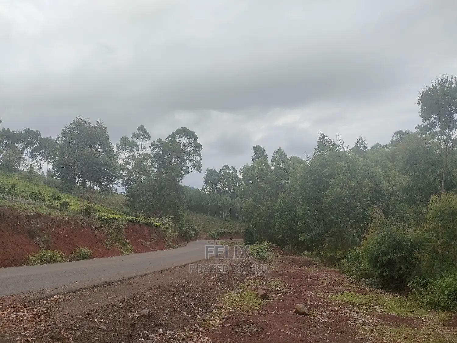 3 Acres Othaya/Kianganda