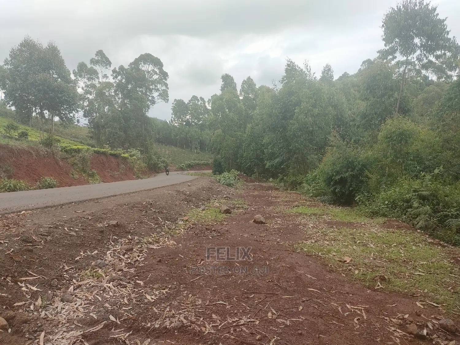3 Acres Othaya/Kianganda